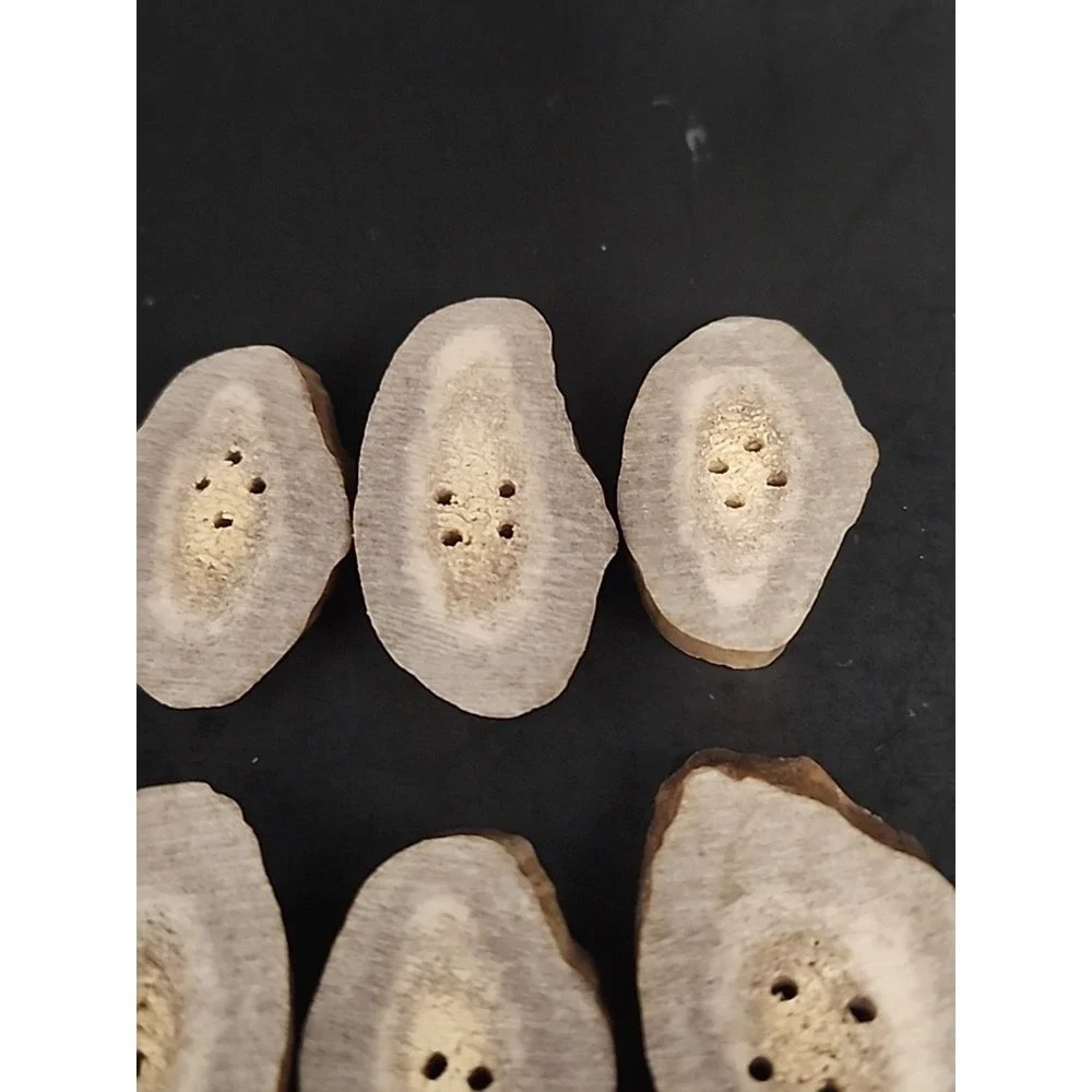 6 Piece Set Of Raw‎ Antler Buttons 1.25